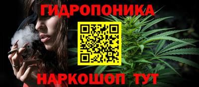 сатива Коммунар