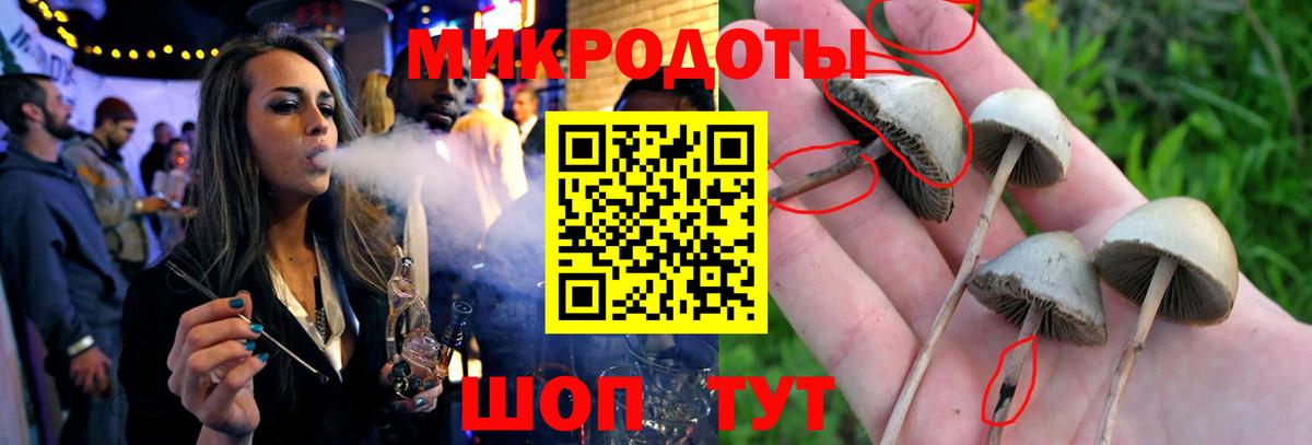 Псилоцибиновые грибы Magic Shrooms  Вход с VPN  Гусиноозёрск 