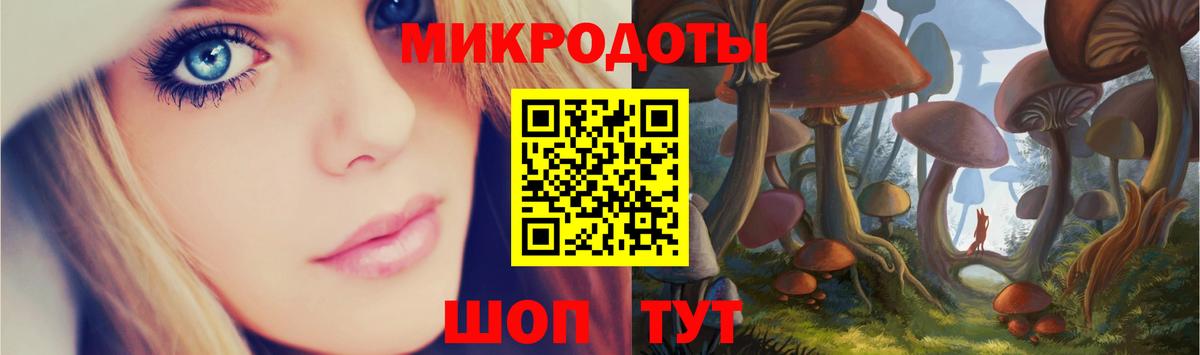 Галлюциногенные грибы Cubensis Гусиноозёрск